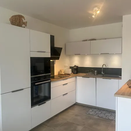 Apartment Bel Neuf Avec Terrasses A 250m De La Plage, Parking Et Ascenseur - Fr-1-539-70